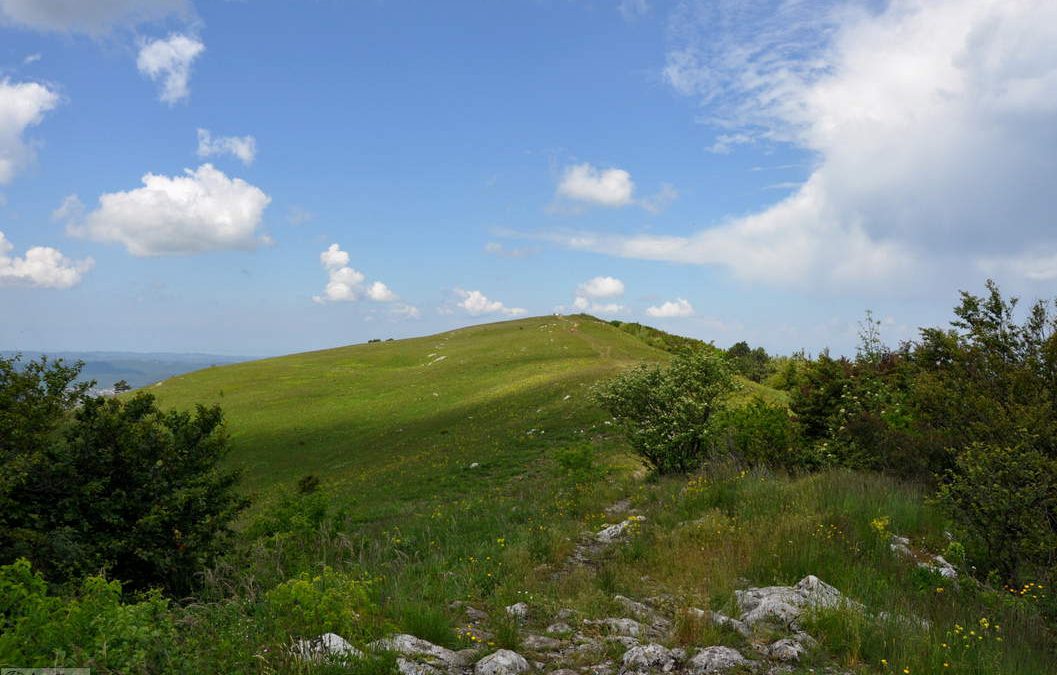 Po poti Bogomirja Magajne