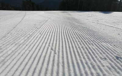 Prihod iz zimske šole v naravi 6. razred ob 14:30