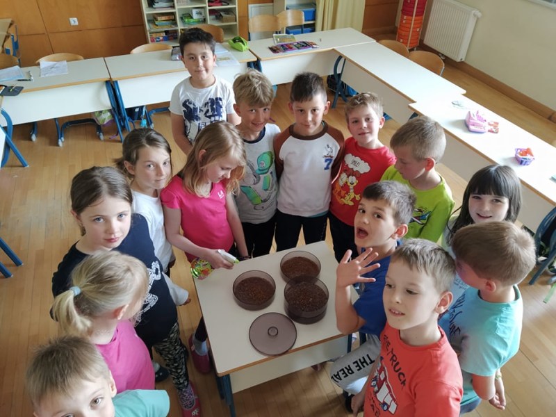 Dan Zemlje – EKO dan