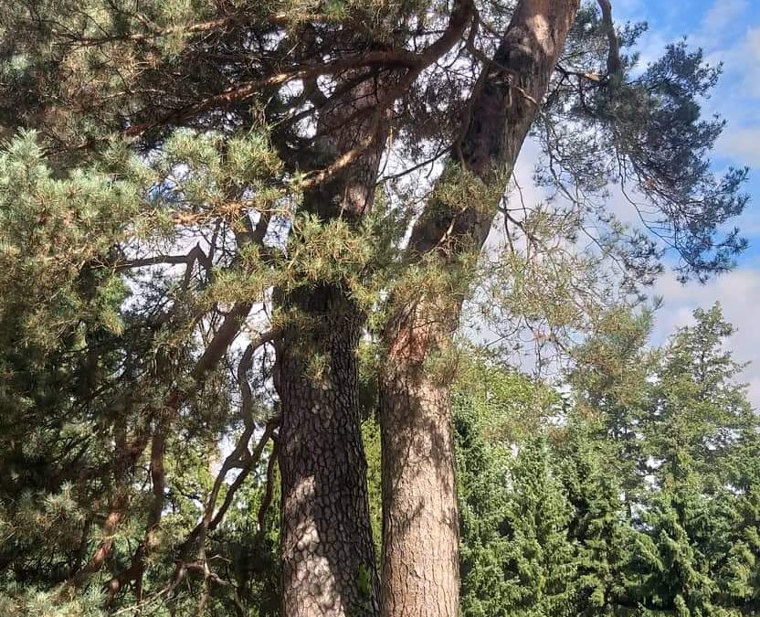 “Če misliš, da je branje knjig dolgočasno, jih bereš narobe.”