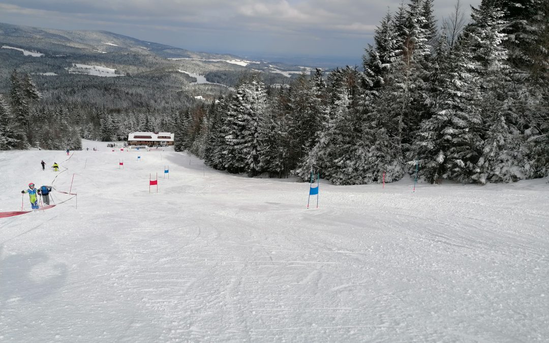 Dve medalji na medobčinskem prvenstvu v veleslalomu