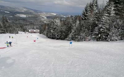 Dve medalji na medobčinskem prvenstvu v veleslalomu