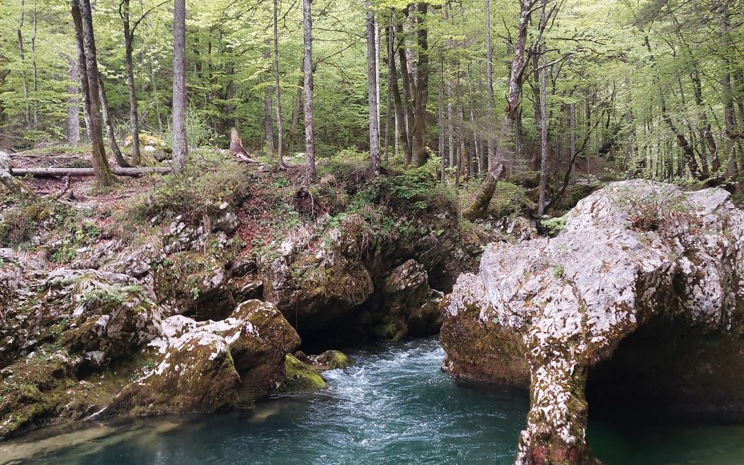 Bohinj 3. dan ali kako je Bohinj dobil ime