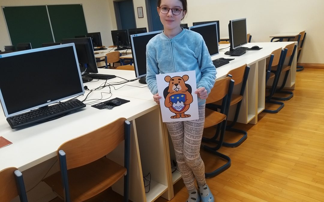 Srebrno priznanje na državnem tekmovanju ACM Bober