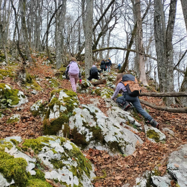 lubnik-2