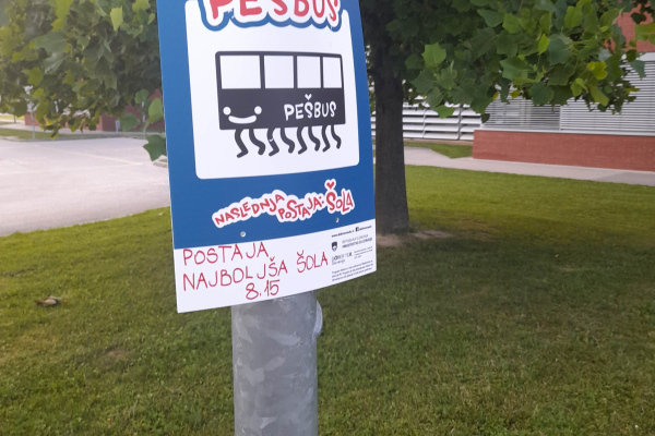 Pesbus-15