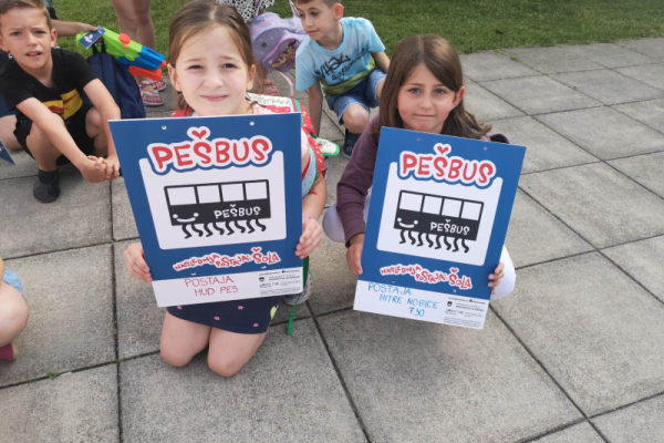 Pesbus-5